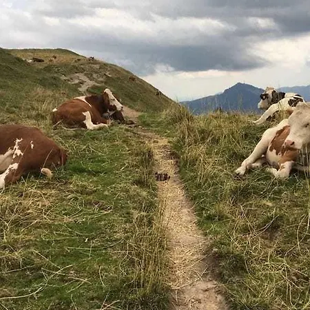 Almagmach 3* Immenstadt im Allgäu