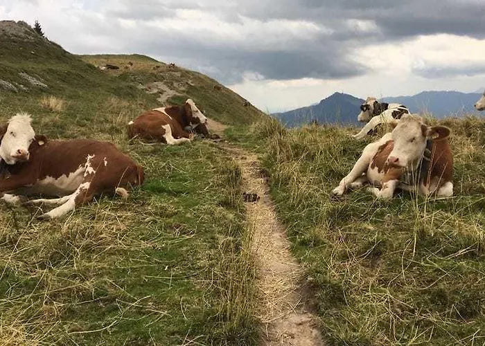 Almagmach 3* Immenstadt im Allgäu