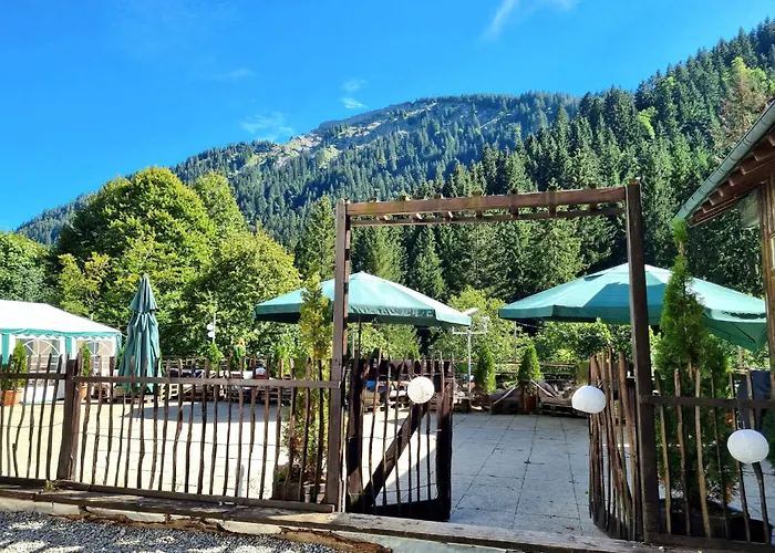 Almagmach Immenstadt im Allgäu